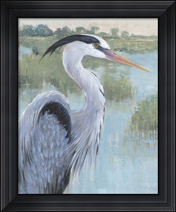 Framed Blue Heron Portrait II Print