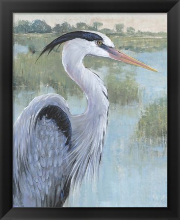 Framed Blue Heron Portrait II Print