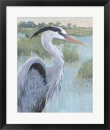 Framed Blue Heron Portrait II Print