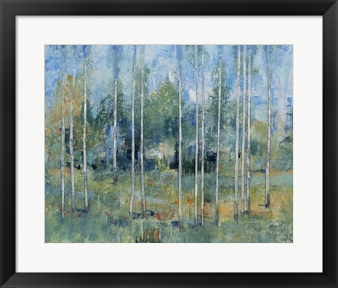 Framed Woodland View II Print