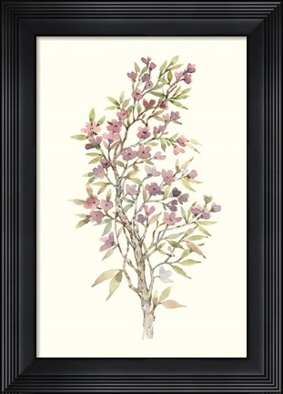 Framed Twig Study I Print