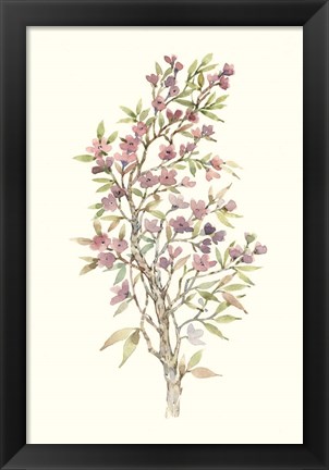 Framed Twig Study I Print