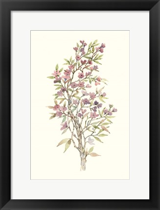 Framed Twig Study I Print