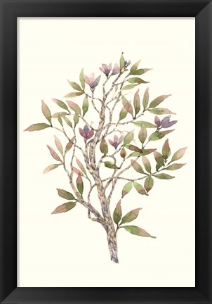 Framed Twig Study II Print