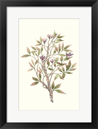 Framed Twig Study II Print