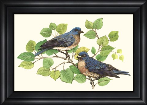 Framed Song Birds I Print