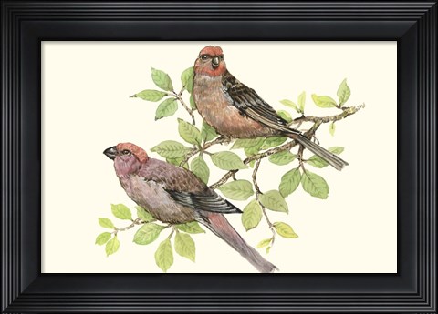 Framed Song Birds II Print