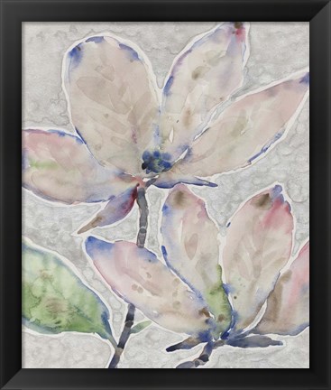 Framed Blossom Study II Print