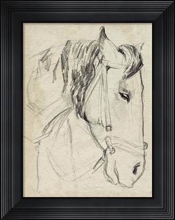 Framed Horse in Bridle Sketch I Print