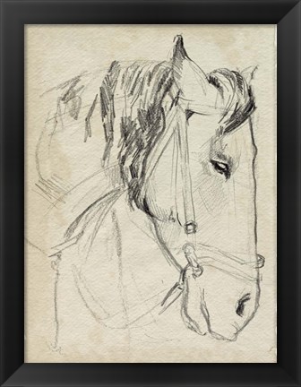 Framed Horse in Bridle Sketch I Print