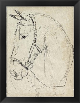 Framed Horse in Bridle Sketch II Print