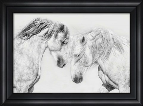 Framed Equine Portrait I Print