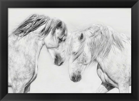 Framed Equine Portrait I Print