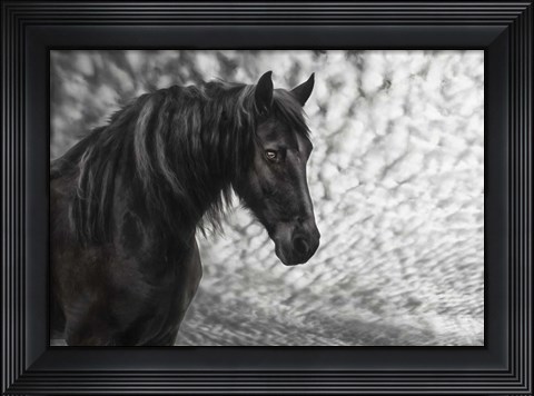 Framed Equine Portrait III Print