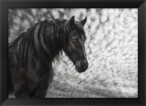 Framed Equine Portrait III Print