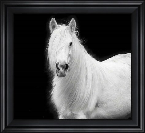 Framed Equine Portrait V Print