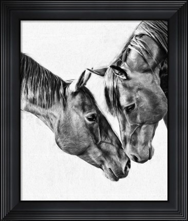Framed Equine Portrait VI Print