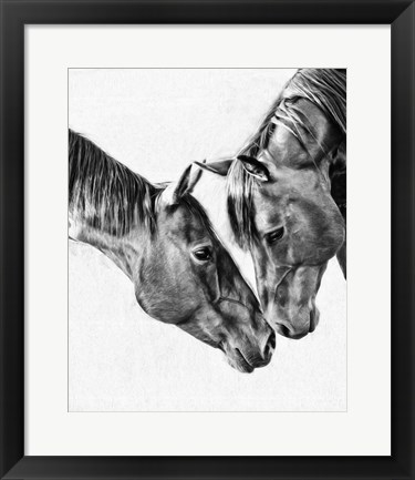 Framed Equine Portrait VI Print