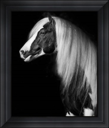 Framed Equine Portrait VII Print