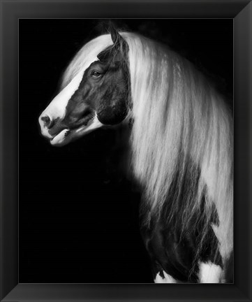 Framed Equine Portrait VII Print