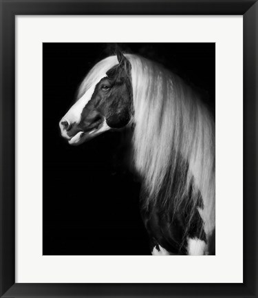 Framed Equine Portrait VII Print