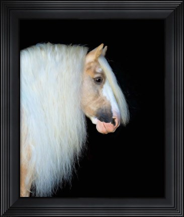 Framed Equine Portrait VIII Print
