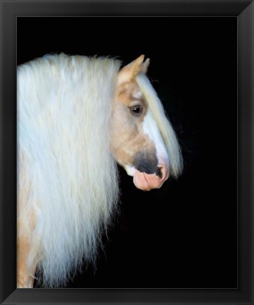 Framed Equine Portrait VIII Print