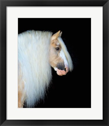 Framed Equine Portrait VIII Print