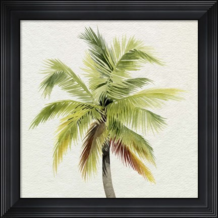 Framed Coco Watercolor Palm I Print