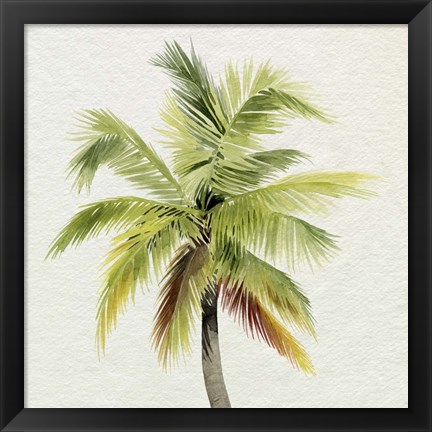 Framed Coco Watercolor Palm I Print