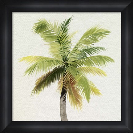 Framed Coco Watercolor Palm II Print