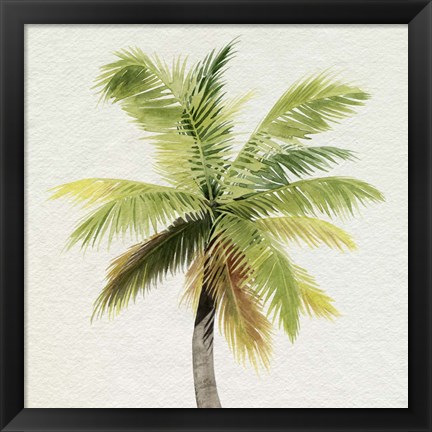 Framed Coco Watercolor Palm II Print