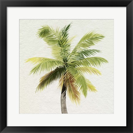 Framed Coco Watercolor Palm II Print