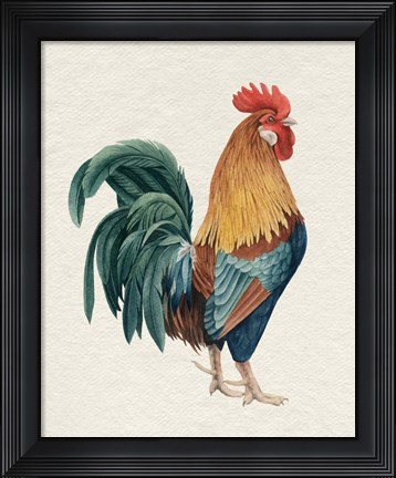 Framed Watercolor Rooster I Print