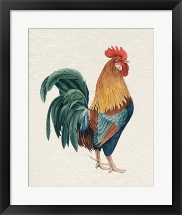 Framed Watercolor Rooster I Print