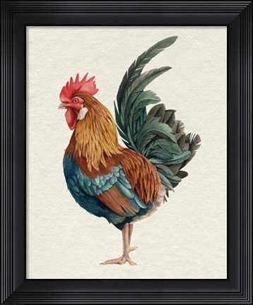 Framed Watercolor Rooster II Print