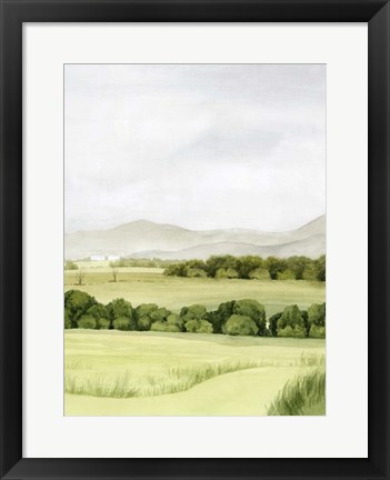 Framed Lush Farmland II Print