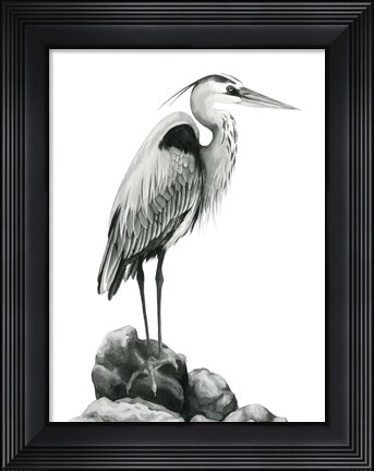 Framed Shoreline Heron in B&amp;W I Print