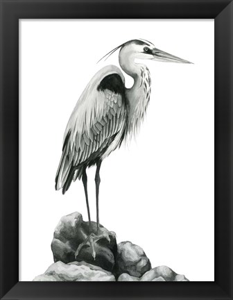 Framed Shoreline Heron in B&amp;W I Print