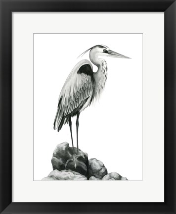 Framed Shoreline Heron in B&amp;W I Print