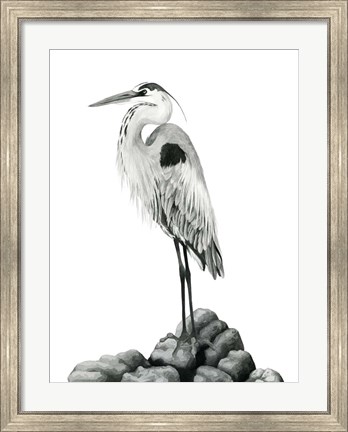 Framed Shoreline Heron in B&amp;W II Print