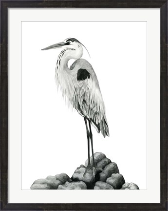 Framed Shoreline Heron in B&amp;W II Print