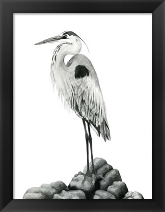 Framed Shoreline Heron in B&amp;W II Print