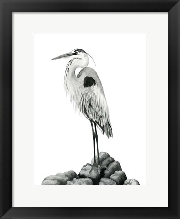 Framed Shoreline Heron in B&amp;W II Print