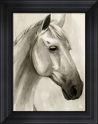 Framed Freckled Pony II Print