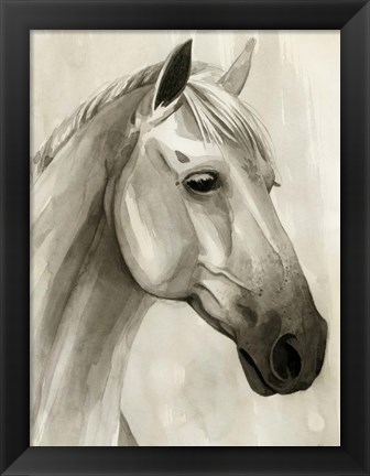 Framed Freckled Pony II Print