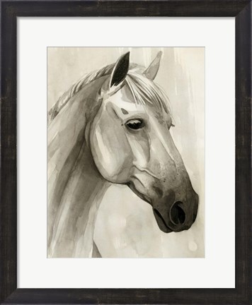 Framed Freckled Pony II Print