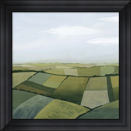 Framed Sylvan State I Print
