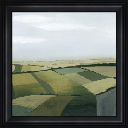 Framed Sylvan State II Print