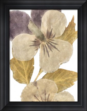 Framed Neutral Pansy I Print